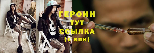 дмт Гусев