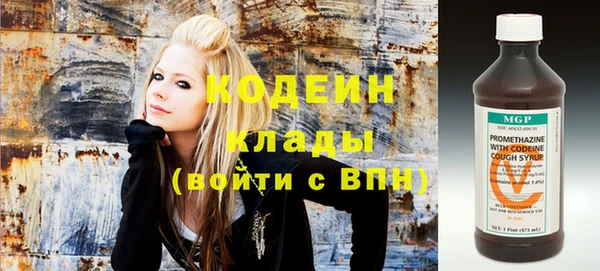 дмт Гусев