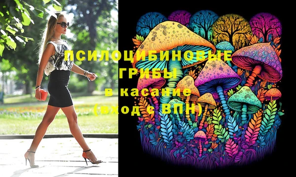хмурый Гусиноозёрск