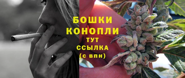 дмт Гусев