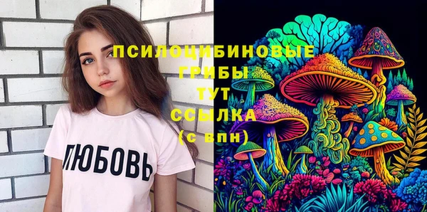 хмурый Гусиноозёрск