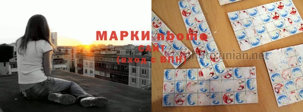 стафф Новый Уренгой