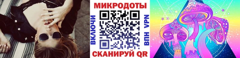 Псилоцибиновые грибы Psilocybine cubensis  Ефремов 