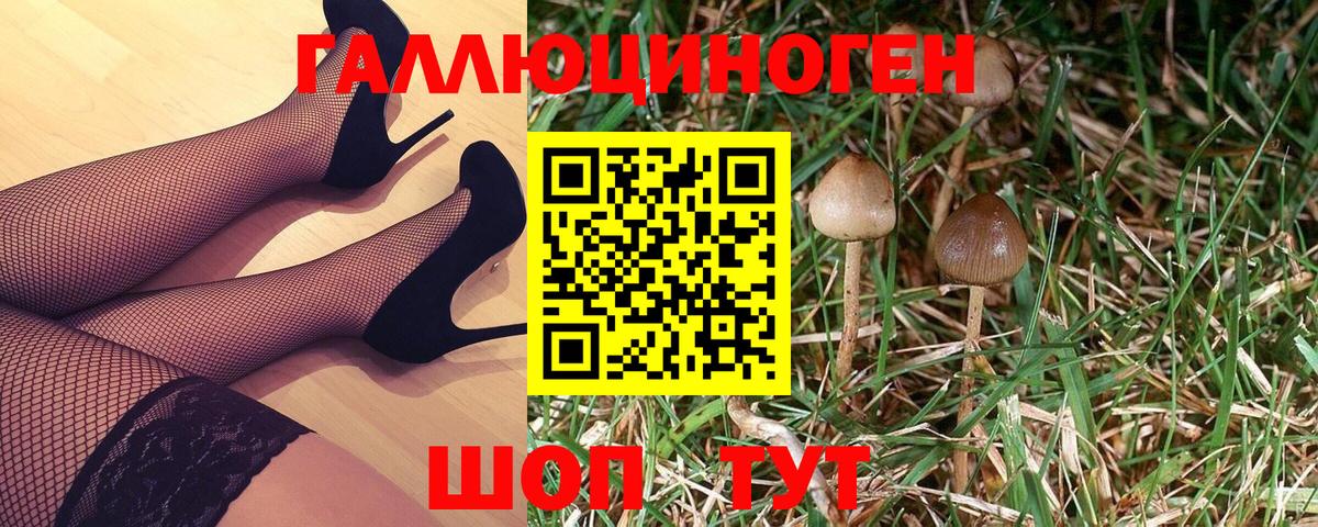 Галлюциногенные грибы MAGIC MUSHROOMS Ефремов