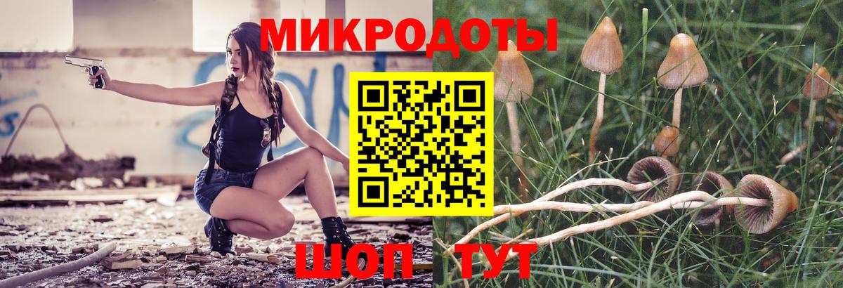 Ефремов  Псилоцибиновые грибы GOLDEN TEACHER  Псилоцибиновые грибы Psilocybe  Вход с VPN 