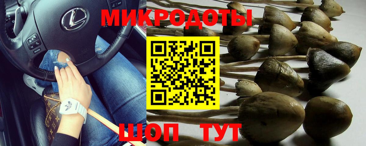 Псилоцибиновые грибы мицелий Ефремов